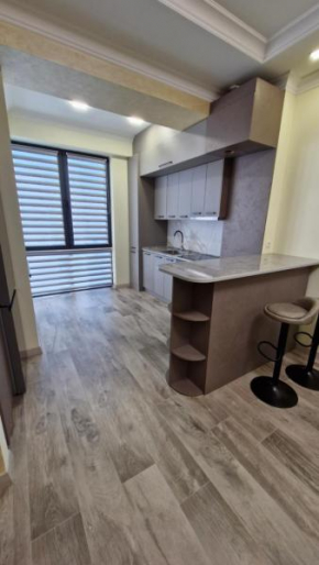 Aygestan VIP 10